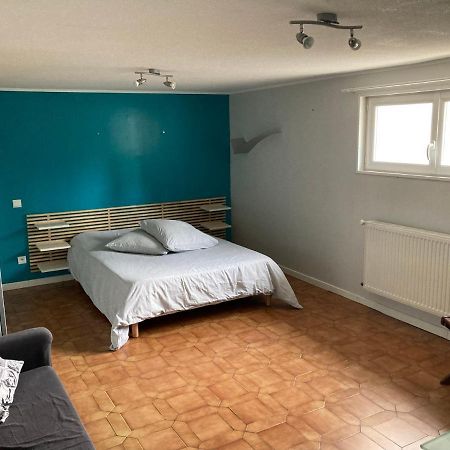 Appartement En Rez-De-Chaussee De Maison Montanay المظهر الخارجي الصورة